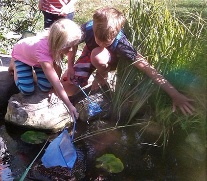 Water pond feature